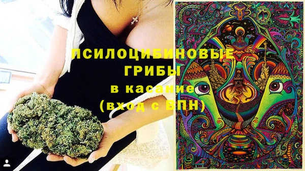 дживик Баксан