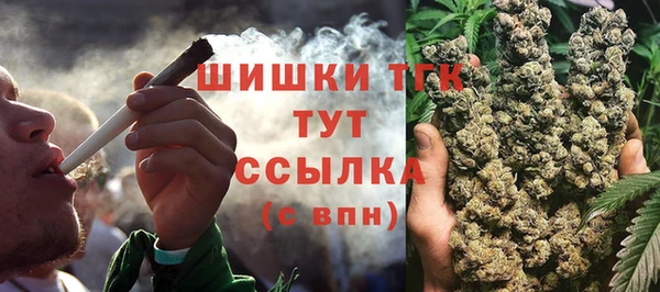 дживик Баксан
